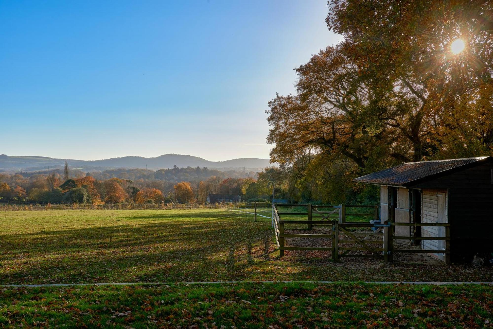 Stunning Cabin With Incredible Views Near Goodwood Rogate Exterior photo