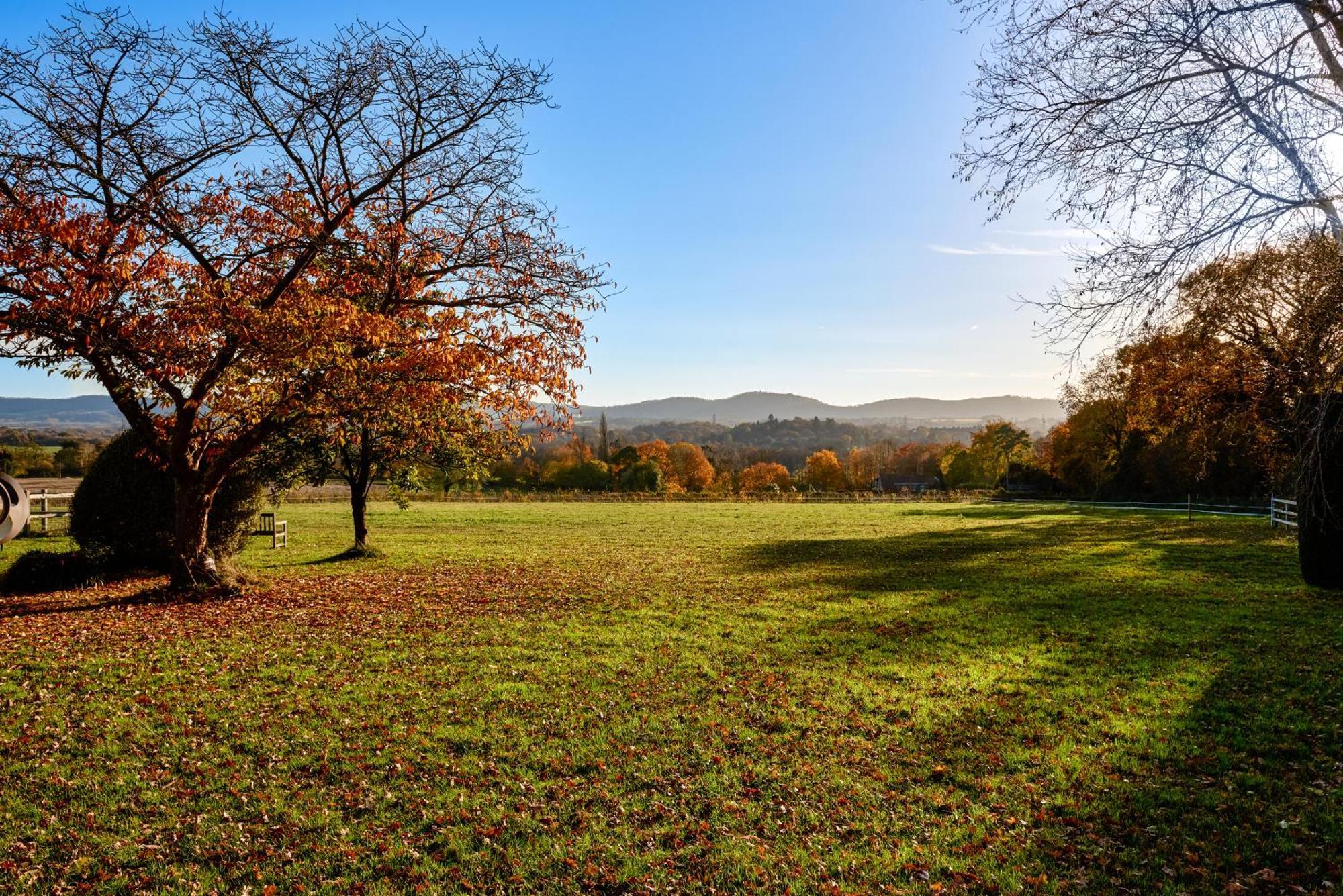 Stunning Cabin With Incredible Views Near Goodwood Rogate Exterior photo