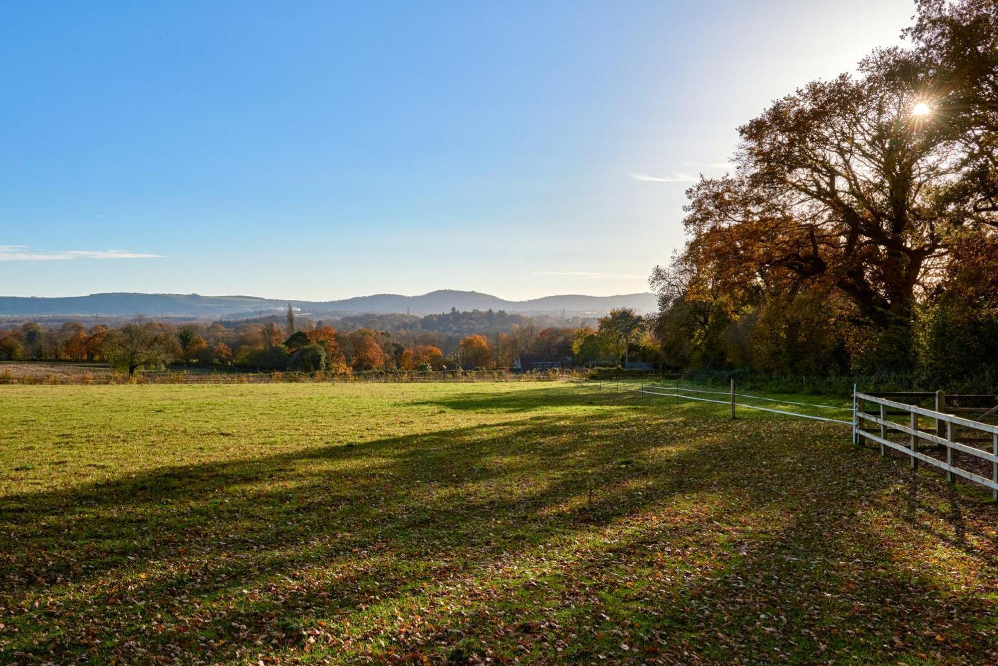 Stunning Cabin With Incredible Views Near Goodwood Rogate Exterior photo
