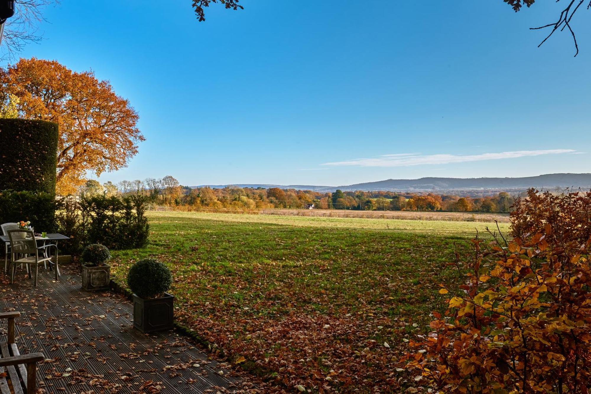 Stunning Cabin With Incredible Views Near Goodwood Rogate Exterior photo