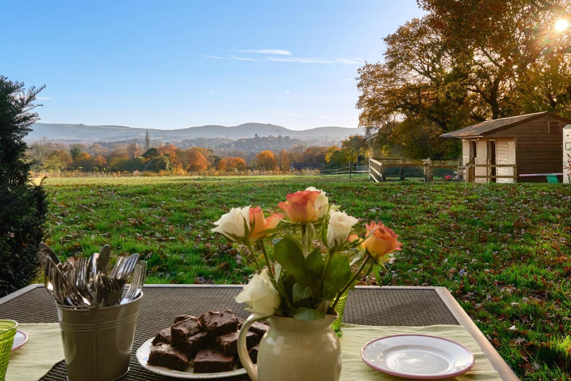 Stunning Cabin With Incredible Views Near Goodwood Rogate Exterior photo